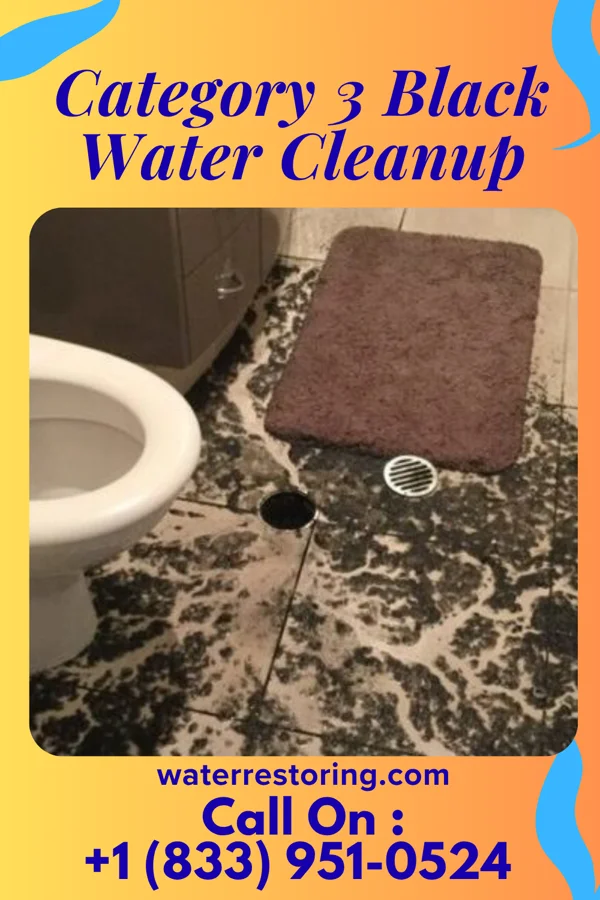 Category 3 Black Water Cleanup in Keenesburg, CO